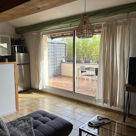 Duplex Lumineux Sur Gde Terrasse, Balneo Double, Parking Prive, Clim, Local Velos Entraigues-sur-la-Sorgue المظهر الخارجي الصورة