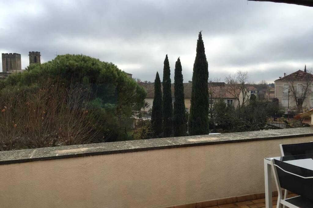 Duplex Lumineux Sur Gde Terrasse, Balneo Double, Parking Prive, Clim, Local Velos Entraigues-sur-la-Sorgue المظهر الخارجي الصورة