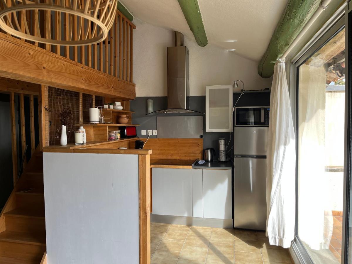Duplex Lumineux Sur Gde Terrasse, Balneo Double, Parking Prive, Clim, Local Velos Entraigues-sur-la-Sorgue المظهر الخارجي الصورة
